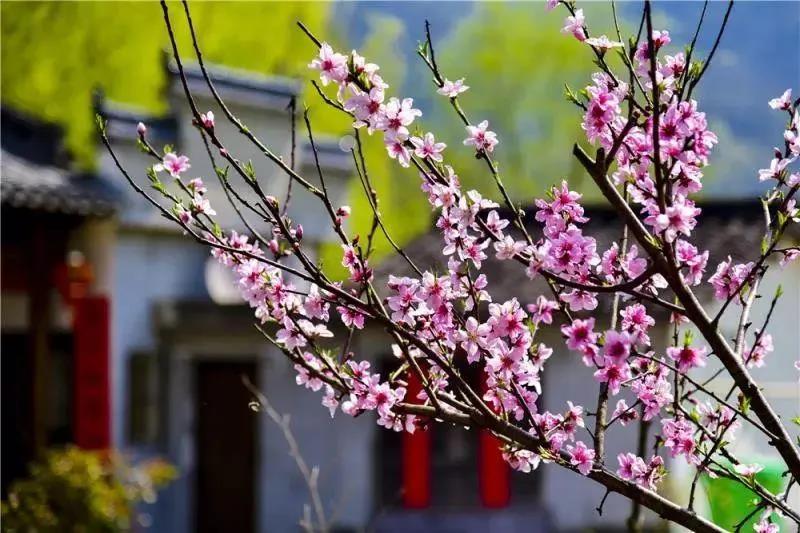 首页-BG视讯厅真人官方网站