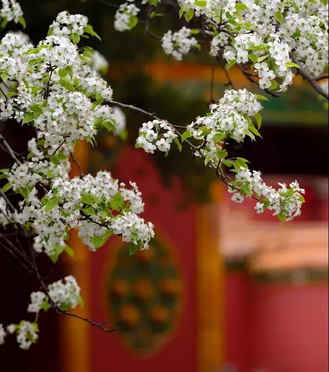 首页-BG视讯厅真人官方网站