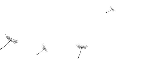 首页-BG视讯厅真人官方网站